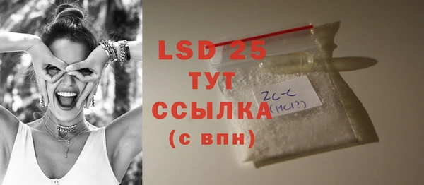прущий лед Богданович