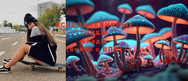 ПСИЛОЦИБИНОВЫЕ ГРИБЫ Беломорск