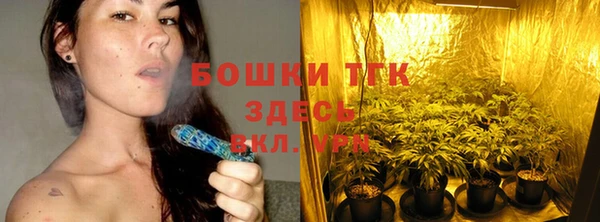 хмурый Богородск