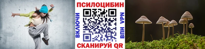 где найти   Кушва  Псилоцибиновые грибы Cubensis 